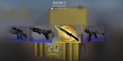 csgo饰品品质越高价格就越贵,需要通过专业的渠道购买插图 csgo饰品品质越高价格就越贵,需要通过专业的渠道购买插图