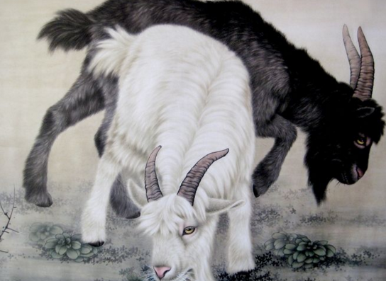 属羊男的性格和脾气主要都有哪些方面的特点