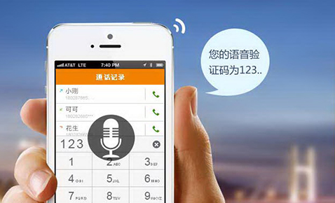 语音验证平台有哪些？哪些性能比较好呢？