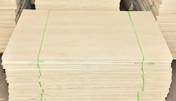 杨木胶合板具体优势有哪些(图1)