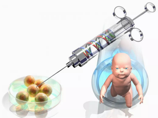试管婴儿