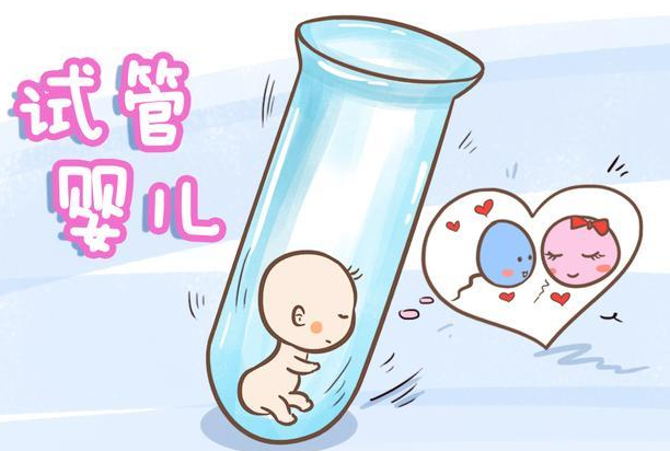 提高卵子质量